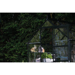 HALLS szklarnia ogrodowa ICON 6 (4,9 m2; 1,93 x 2,55 m) czarna, szkło hartowane + baza